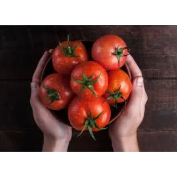 Tomato  (2)-1385408-18346.webp